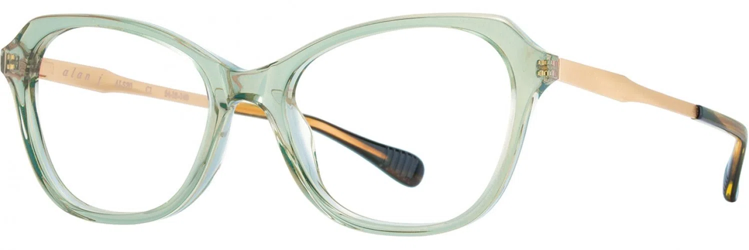 Alan J AJ520 Eyeglasses - view 12
